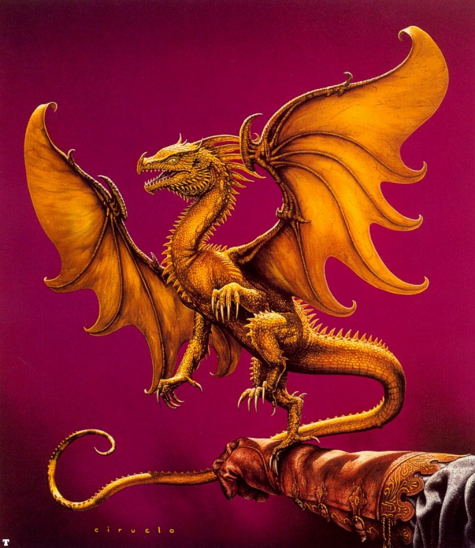 Darling dragon